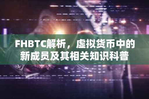 FHBTC解析，虚拟货币中的新成员及其相关知识科普