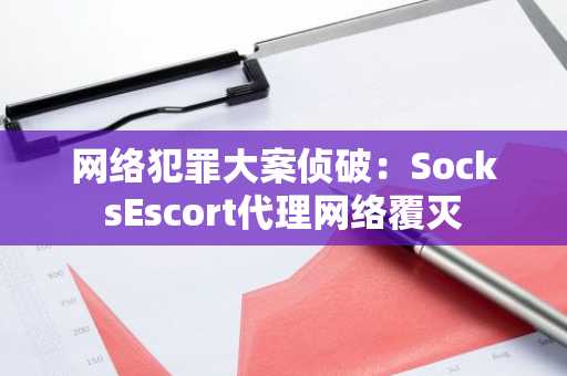 网络犯罪大案侦破：SocksEscort代理网络覆灭