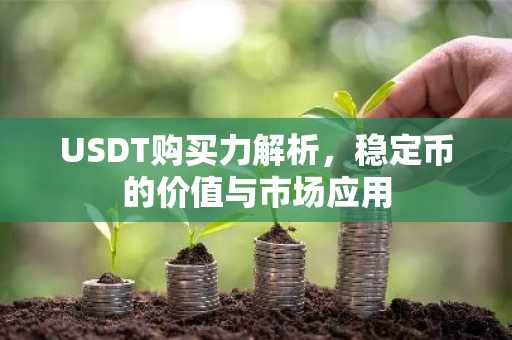 USDT购买力解析，稳定币的价值与市场应用