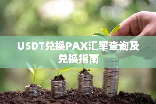 USDT兑换PAX汇率查询及兑换指南