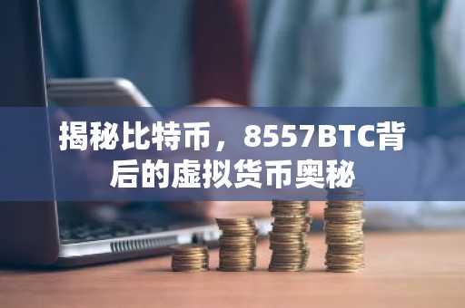 揭秘比特币，8557BTC背后的虚拟货币奥秘