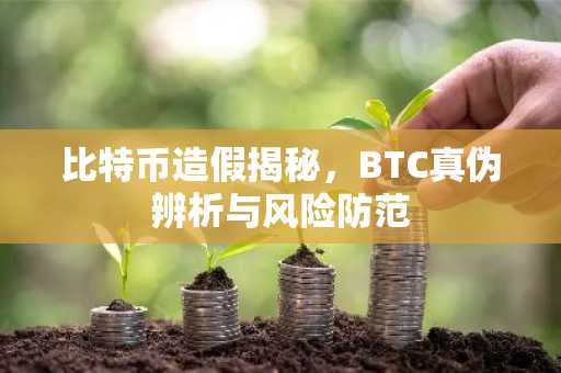 比特币造假揭秘，BTC真伪辨析与风险防范