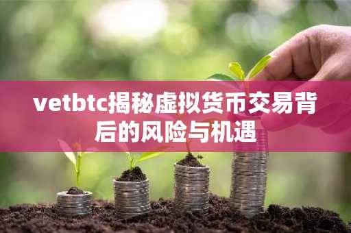 vetbtc揭秘虚拟货币交易背后的风险与机遇