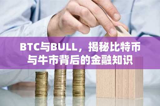BTC与BULL，揭秘比特币与牛市背后的金融知识
