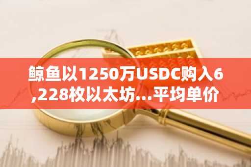 鲸鱼以1250万USDC购入6,228枚以太坊…平均单价2,007美元