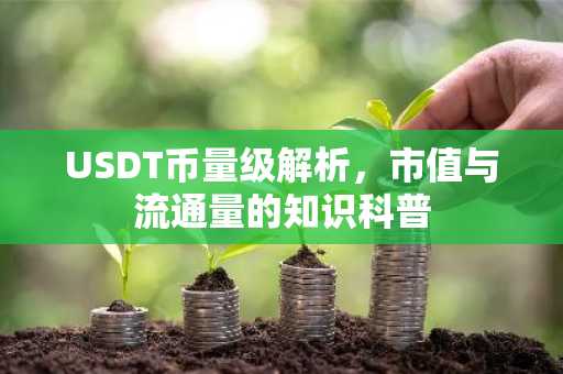 USDT币量级解析，市值与流通量的知识科普