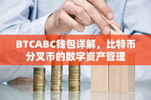 BTCABC钱包详解，比特币分叉币的数字资产管理