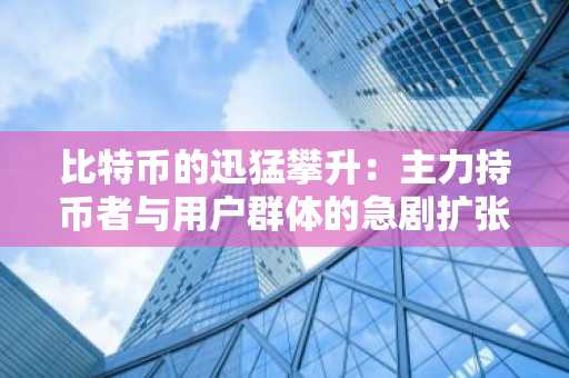 比特币的迅猛攀升：主力持币者与用户群体的急剧扩张