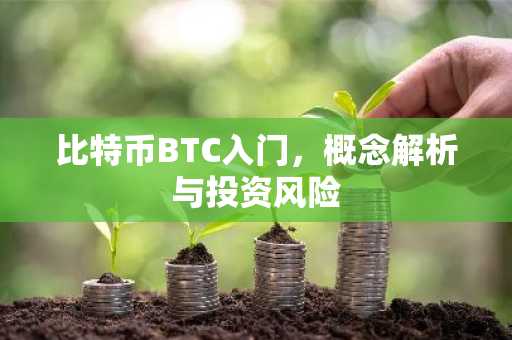 比特币BTC入门，概念解析与投资风险
