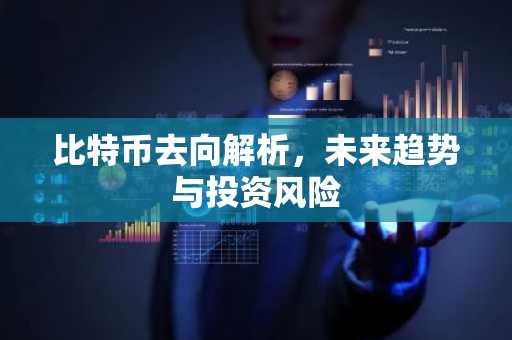 比特币去向解析，未来趋势与投资风险