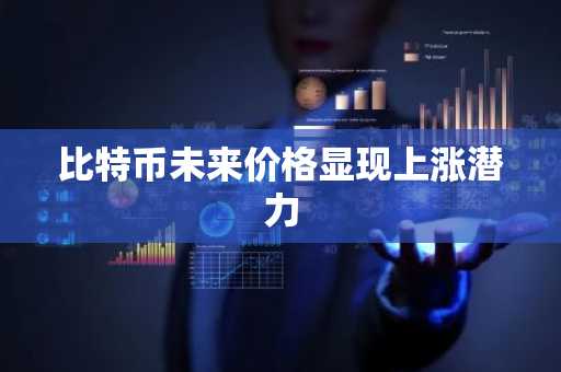 比特币未来价格显现上涨潜力