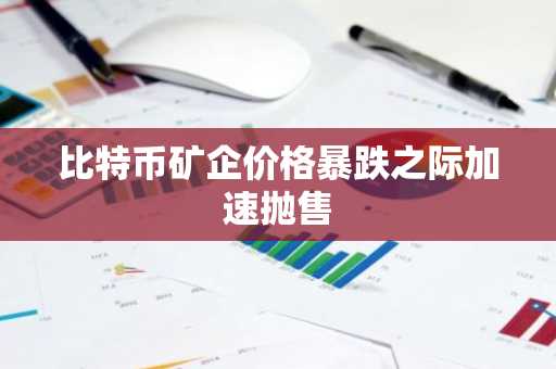 比特币矿企价格暴跌之际加速抛售