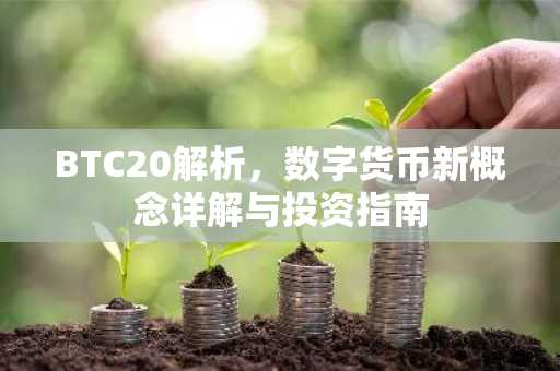 BTC20解析，数字货币新概念详解与投资指南