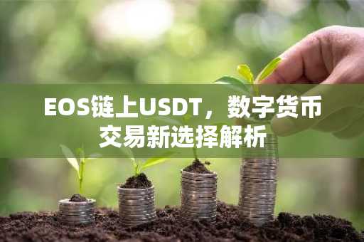 EOS链上USDT，数字货币交易新选择解析