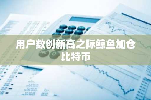 用户数创新高之际鲸鱼加仓比特币