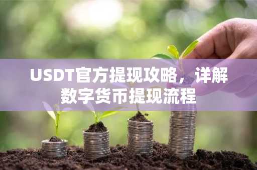 USDT官方提现攻略，详解数字货币提现流程