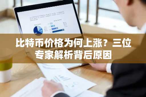 比特币价格为何上涨？三位专家解析背后原因