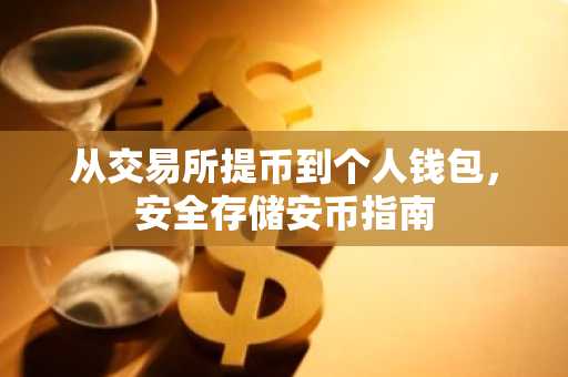 从交易所提币到个人钱包,安全存储安币指南