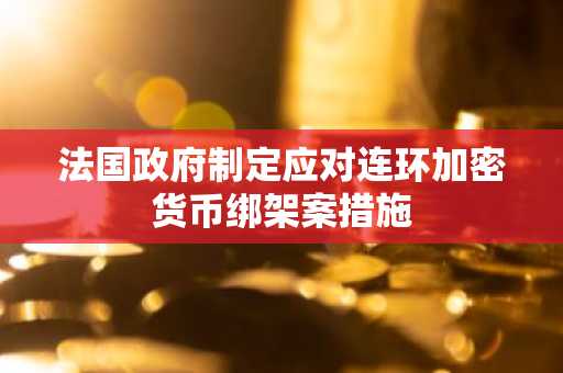 法国政府制定应对连环加密货币绑架案措施
