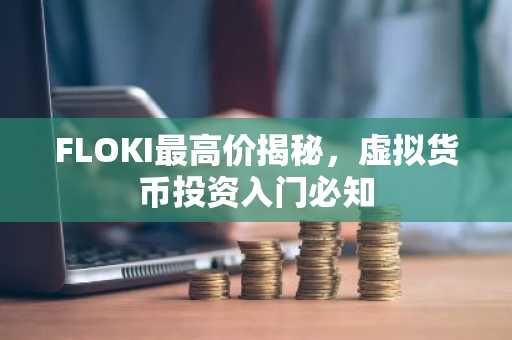 FLOKI最高价揭秘，虚拟货币投资入门必知