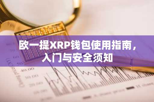 欧一提XRP钱包使用指南,入门与安全须知