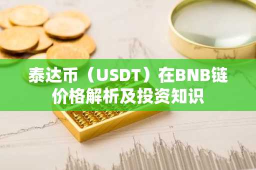 泰达币（USDT）在BNB链价格解析及投资知识