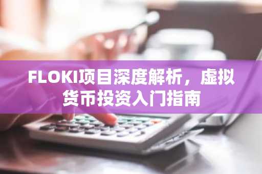 FLOKI项目深度解析，虚拟货币投资入门指南