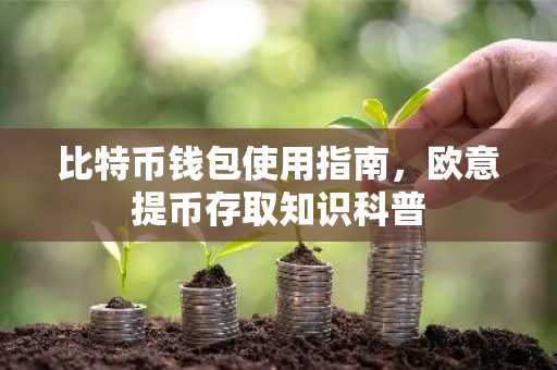 比特币钱包使用指南，欧意提币存取知识科普