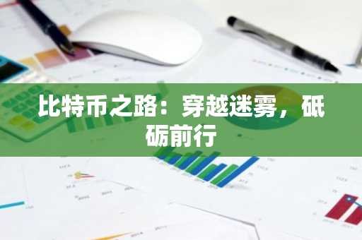 比特币之路：穿越迷雾，砥砺前行