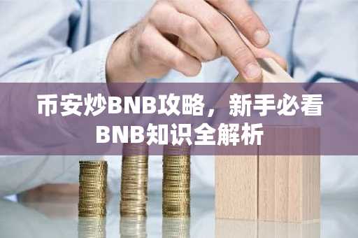 币安炒BNB攻略，新手必看BNB知识全解析