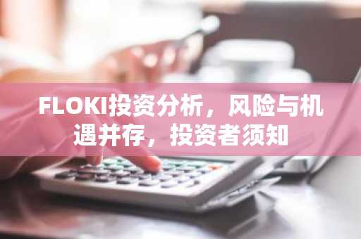 FLOKI投资分析，风险与机遇并存，投资者须知