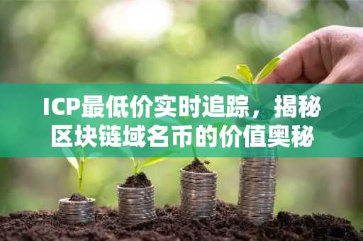 ICP最低价实时追踪，揭秘区块链域名币的价值奥秘