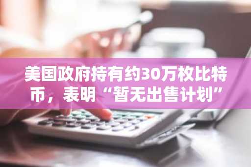 美国政府持有约30万枚比特币，表明“暂无出售计划”，供应或进一步收紧