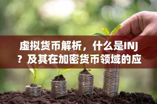 虚拟货币解析,什么是INJ?及其在加密货币领域的应用