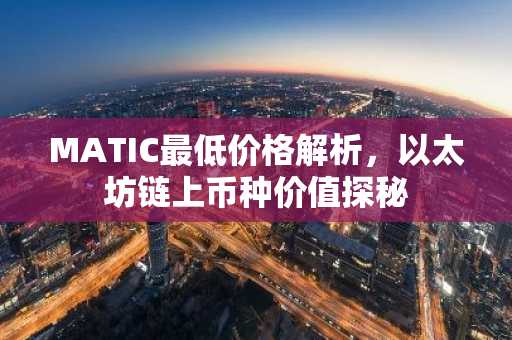 MATIC最低价格解析，以太坊链上币种价值探秘
