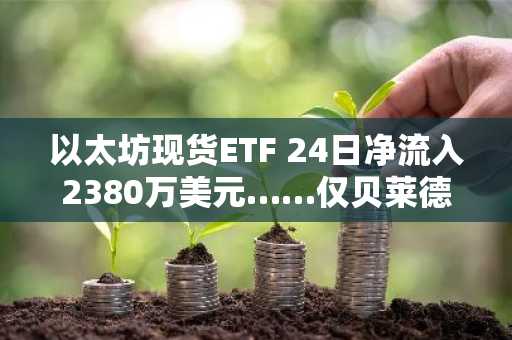 以太坊现货ETF 24日净流入2380万美元……仅贝莱德ETHB基金获资金流入