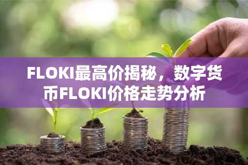 FLOKI最高价揭秘，数字货币FLOKI价格走势分析