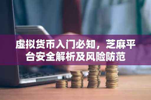 虚拟货币入门必知,芝麻平台安全解析及风险防范