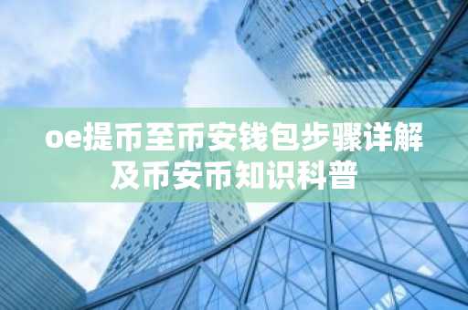 oe提币至币安钱包步骤详解及币安币知识科普