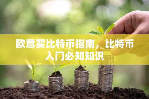 欧意买比特币指南,比特币入门必知知识