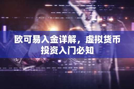 欧可易入金详解,虚拟货币投资入门必知
