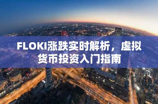 FLOKI涨跌实时解析，虚拟货币投资入门指南