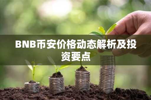BNB币安价格动态解析及投资要点